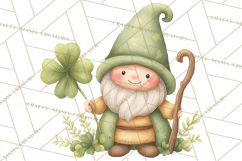 St Patricks Gnomes PNG, Cute Irish Gnome Clipart, Shamrock Product Image 3