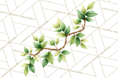 Jungle Plants Clipart, Tropical Leaves PNG, Watercolor Ferns Product Image 3