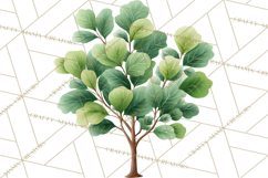 Jungle Plants Clipart, Tropical Leaves PNG, Watercolor Ferns Product Image 3