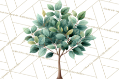 Jungle Plants Clipart, Tropical Leaves PNG, Watercolor Ferns Product Image 4