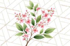 Jungle Plants Clipart, Tropical Leaves PNG, Watercolor Ferns Product Image 5