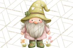 St Patricks Gnomes PNG, Cute Irish Gnome Clipart, Shamrock Product Image 3