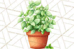 Tuscan Farmhouse Pasta Clipart, Rustic Pasta Night Kitchen Product Image 4