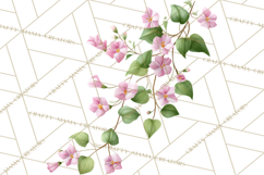 Jungle Plants Clipart, Tropical Leaves PNG, Watercolor Ferns Product Image 5