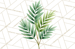 Jungle Plants Clipart, Tropical Leaves PNG, Watercolor Ferns Product Image 2