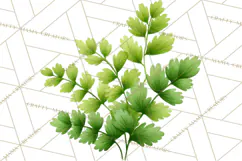 Jungle Plants Clipart, Tropical Leaves PNG, Watercolor Ferns Product Image 3