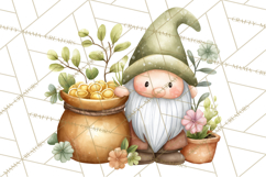 St Patricks Gnomes PNG, Cute Irish Gnome Clipart, Shamrock Product Image 4