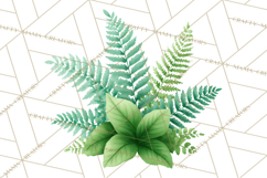 Jungle Plants Clipart, Tropical Leaves PNG, Watercolor Ferns Product Image 5