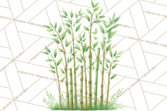 Jungle Plants Clipart, Tropical Leaves PNG, Watercolor Ferns Product Image 3