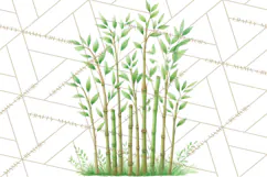 Jungle Plants Clipart, Tropical Leaves PNG, Watercolor Ferns Product Image 3