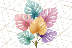 Jungle Plants Clipart, Tropical Leaves PNG, Watercolor Ferns Product Image 4