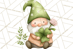 St Patricks Gnomes PNG, Cute Irish Gnome Clipart, Shamrock Product Image 5