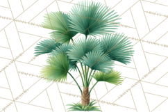 Jungle Plants Clipart, Tropical Leaves PNG, Watercolor Ferns Product Image 4