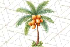 Jungle Plants Clipart, Tropical Leaves PNG, Watercolor Ferns Product Image 5