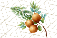 Jungle Plants Clipart, Tropical Leaves PNG, Watercolor Ferns Product Image 3