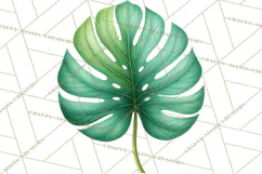 Jungle Plants Clipart, Tropical Leaves PNG, Watercolor Ferns Product Image 4