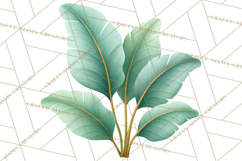 Jungle Plants Clipart, Tropical Leaves PNG, Watercolor Ferns Product Image 2