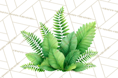 Jungle Plants Clipart, Tropical Leaves PNG, Watercolor Ferns Product Image 3