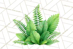 Jungle Plants Clipart, Tropical Leaves PNG, Watercolor Ferns Product Image 3