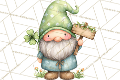 St Patricks Gnomes PNG, Cute Irish Gnome Clipart, Shamrock Product Image 4