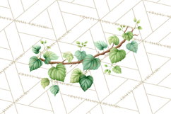 Jungle Plants Clipart, Tropical Leaves PNG, Watercolor Ferns Product Image 4