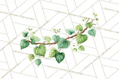 Jungle Plants Clipart, Tropical Leaves PNG, Watercolor Ferns Product Image 4