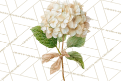 Watercolor Hydrangea Clipart, Florist Paper, Wedding Floral Product Image 5