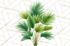 Jungle Plants Clipart, Tropical Leaves PNG, Watercolor Ferns Product Image 2