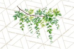 Jungle Plants Clipart, Tropical Leaves PNG, Watercolor Ferns Product Image 3