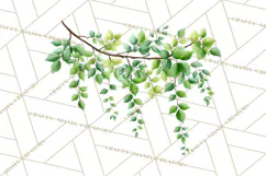 Jungle Plants Clipart, Tropical Leaves PNG, Watercolor Ferns Product Image 3