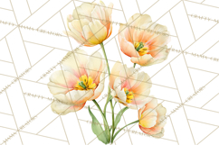 Soft Watercolor Floral Clipart, Spring Bouquets, Flowers PNG Product Image 4
