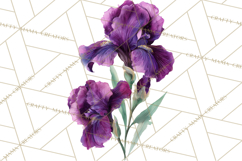 Soft Watercolor Floral Clipart, Spring Bouquets, Flowers PNG Product Image 2