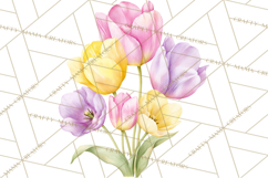 Soft Watercolor Floral Clipart, Spring Bouquets, Flowers PNG Product Image 4