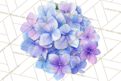 Soft Watercolor Floral Clipart, Spring Bouquets, Flowers PNG Product Image 3