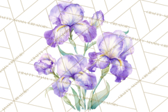 Soft Watercolor Floral Clipart, Spring Bouquets, Flowers PNG Product Image 3