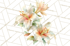 Soft Watercolor Floral Clipart, Spring Bouquets, Flowers PNG Product Image 3