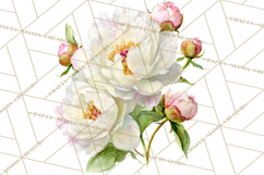 Soft Watercolor Floral Clipart, Spring Bouquets, Flowers PNG Product Image 4