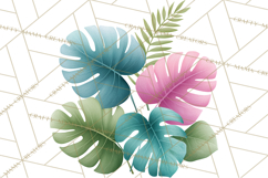Jungle Plants Clipart, Tropical Leaves PNG, Watercolor Ferns Product Image 5