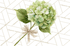 Watercolor Hydrangea Clipart, Florist Paper, Wedding Floral Product Image 2