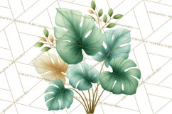 Jungle Plants Clipart, Tropical Leaves PNG, Watercolor Ferns Product Image 3