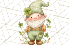 St Patricks Gnomes PNG, Cute Irish Gnome Clipart, Shamrock Product Image 5