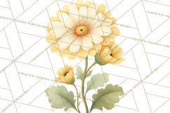Vintage Spring Florals Clipart, Cottagecore Flower Png Product Image 3