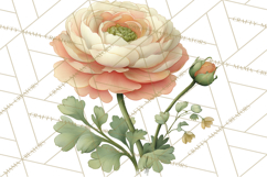 Vintage Spring Florals Clipart, Cottagecore Flower Png Product Image 4
