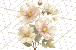 Vintage Spring Florals Clipart, Cottagecore Flower Png Product Image 5