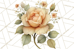 Vintage Spring Florals Clipart, Cottagecore Flower Png Product Image 2