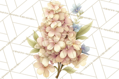 Vintage Spring Florals Clipart, Cottagecore Flower Png Product Image 4