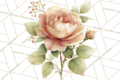 Vintage Spring Florals Clipart, Cottagecore Flower Png Product Image 2