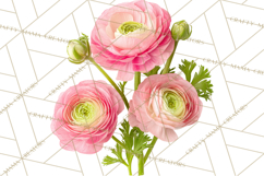 Soft Pastel Spring Floral Clipart, Pink Roses Tulips Png Product Image 2