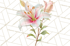 Soft Pastel Spring Floral Clipart, Pink Roses Tulips Png Product Image 5