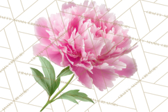 Soft Pastel Spring Floral Clipart, Pink Roses Tulips Png Product Image 5